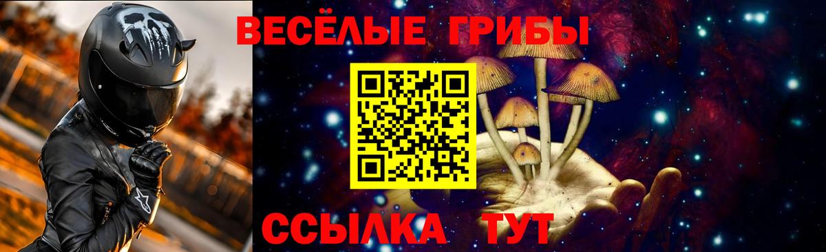 Ленинск-Кузнецкий  Галлюциногенные грибы Psilocybine cubensis  Вход с VPN 